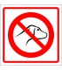  No dog walking sign